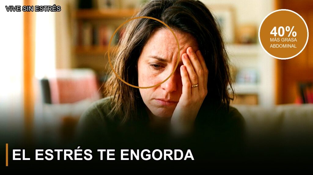 El estrés te engorda - Vive Sin Estrés